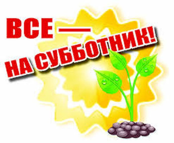 На субботник вышли дружно!